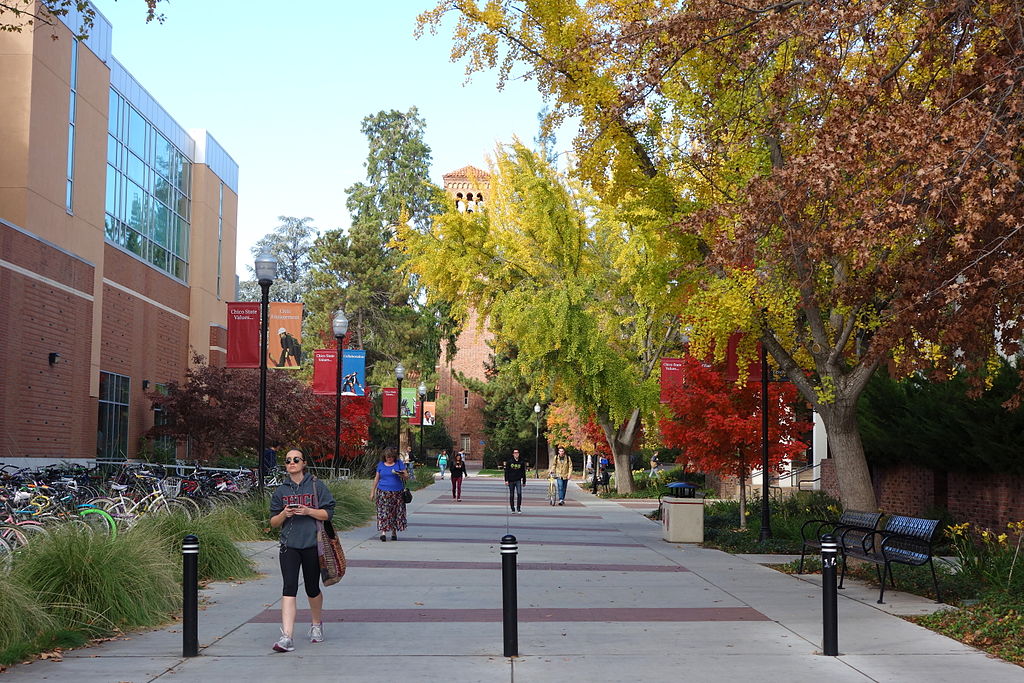 A photo of California State University's campus