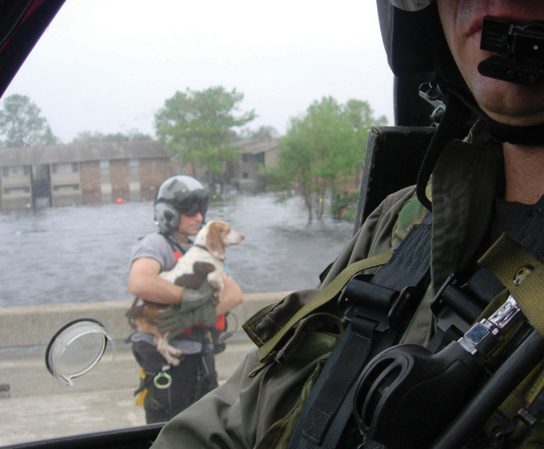 An image of a helicopter pilot rescuing a dog from flooding