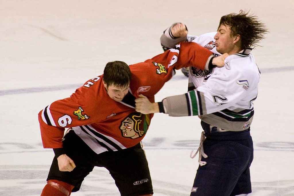 Two hockey players fighting on the ice rink.