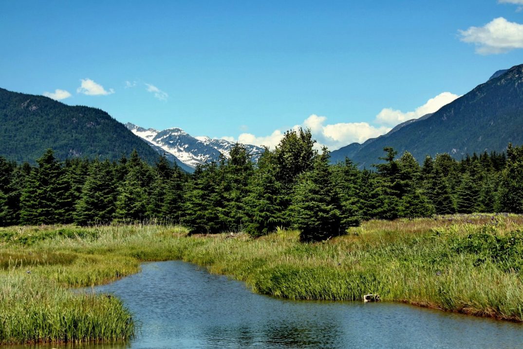 photograph of stream and mountain range in Alaska