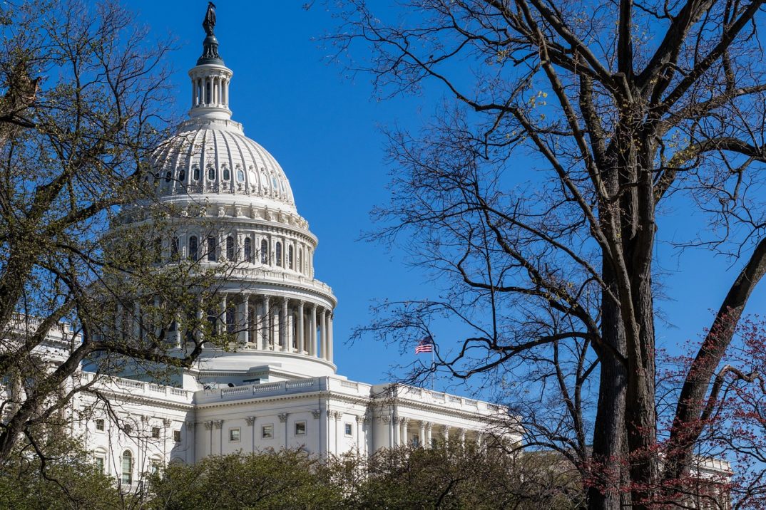 A photo of the U.S. Capitol dome through trees.