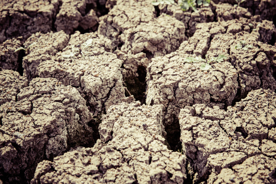A photo of dry, cracked soil.