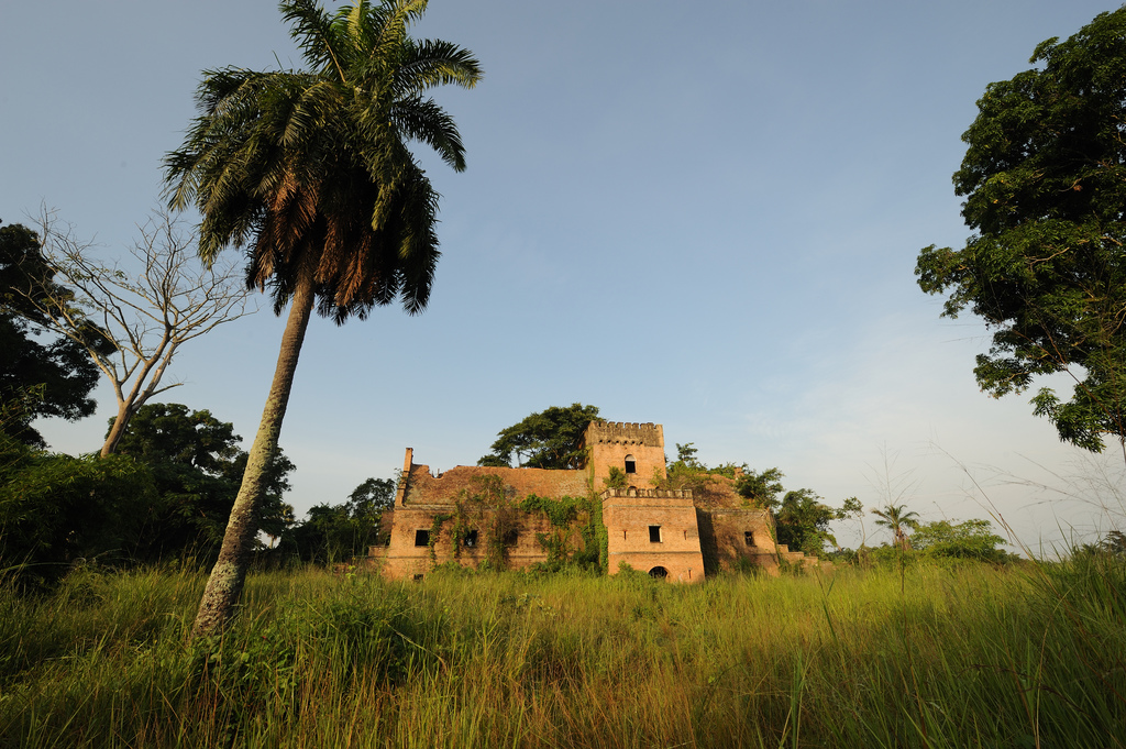 Photo of old colonial fort with palm tree and grass