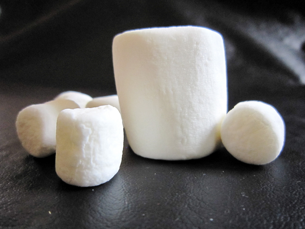 photograph of several marshmallows, the largest in the center standing upright