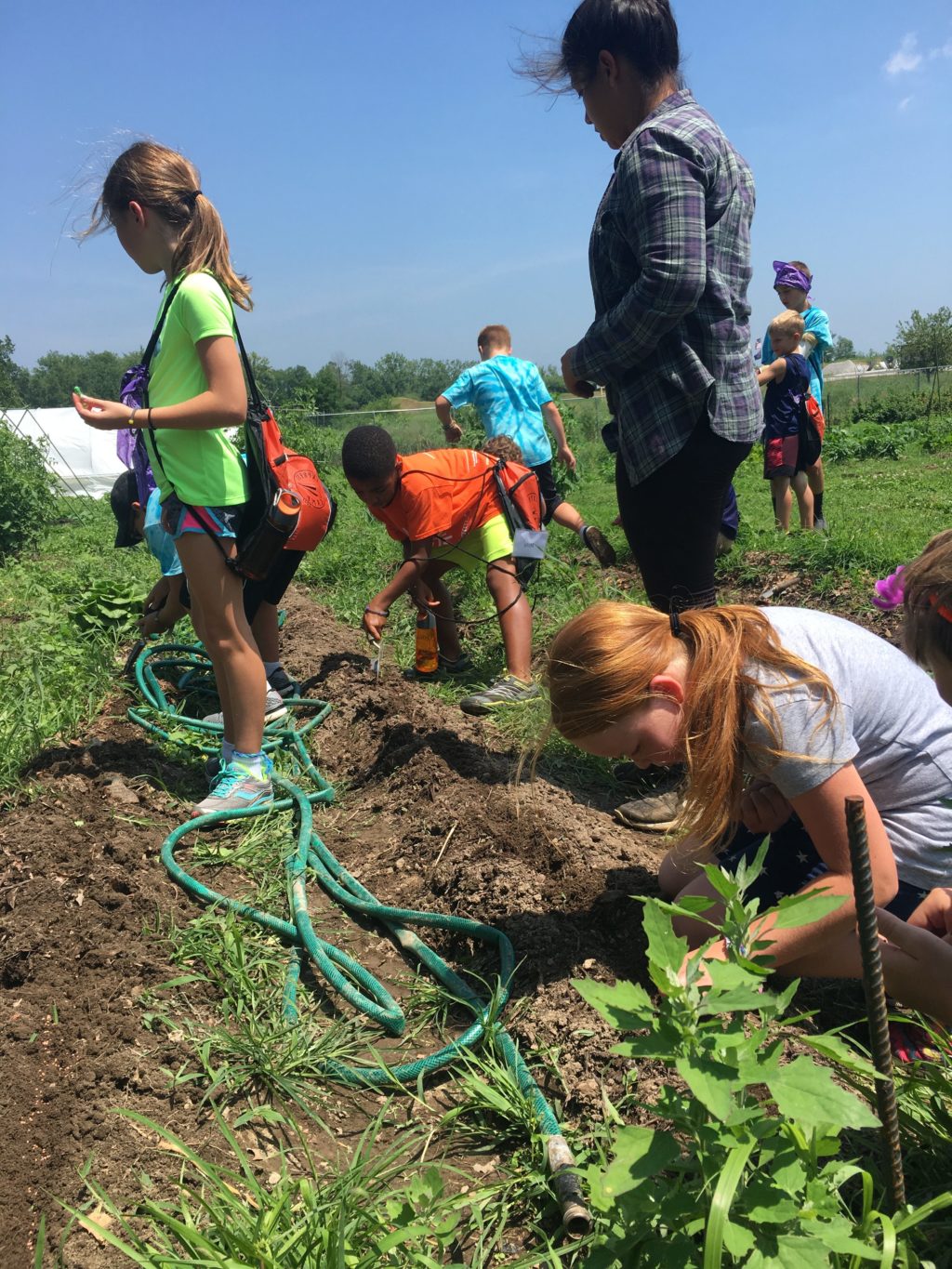 Several young children kneel and work between rows of plants at a farm