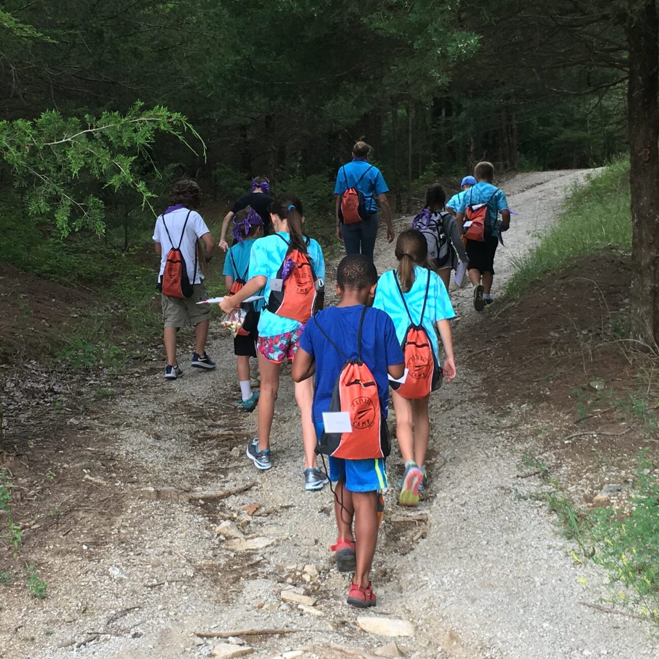A diverse group of young children walking down a path through a forest