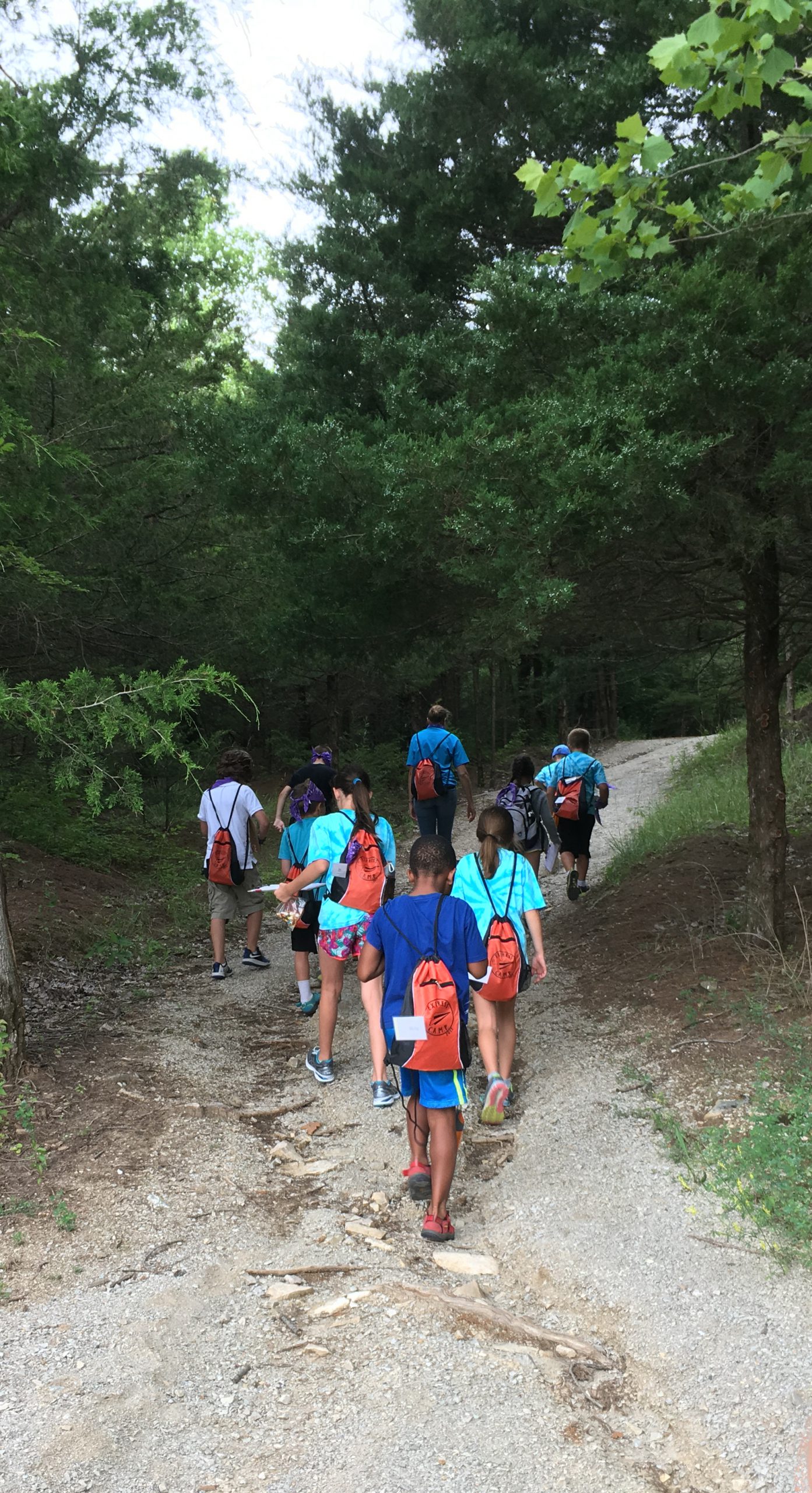 A diverse group of young children walking down a path through a forest