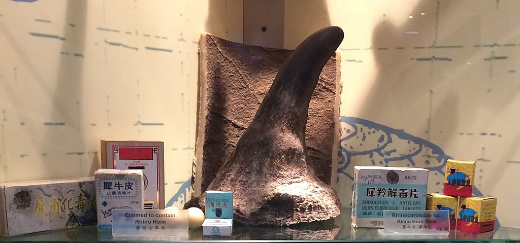 Photo of a rhino horn and several products claiming to have rhino horn in them