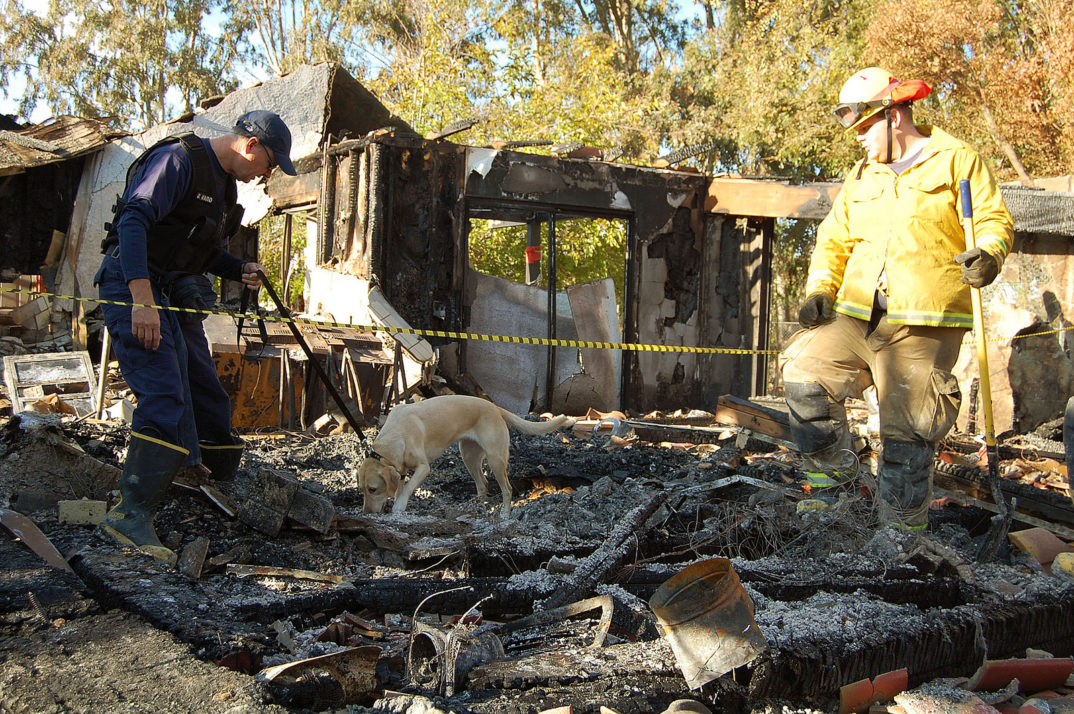 Photograph of two men and a dog standing in a burned structure