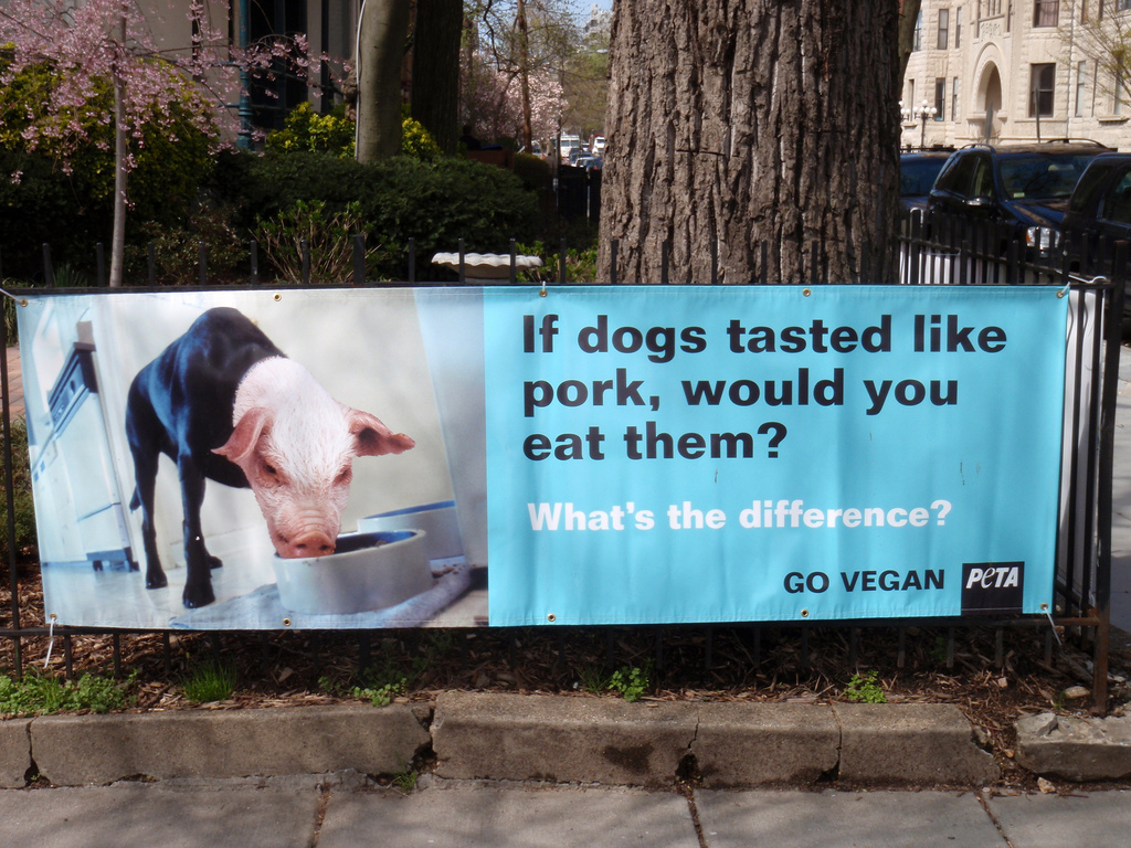 Sign that reads "if dogs tasted like pork, would you eat them? What's the difference?" bearing a PETA logo