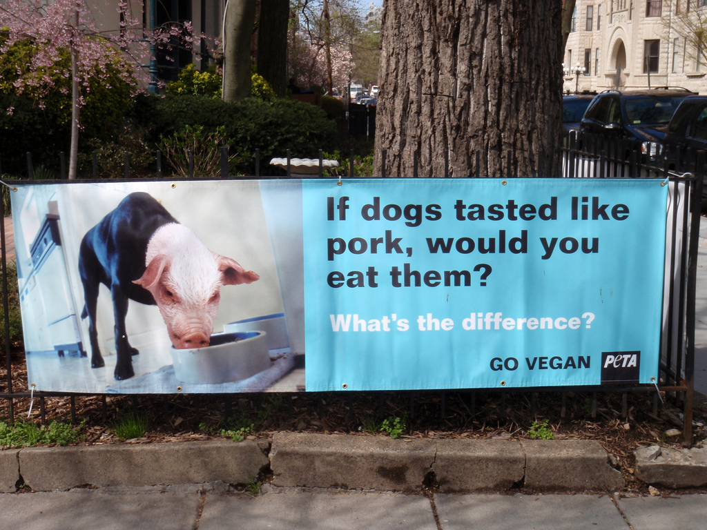 What PETA Gets Right about Animal Metaphors (and What it Gets Wrong) - Prindle Institute What PETA Gets Right about Animal Metaphors (and What it Gets Wrong) - Prindle Institute
