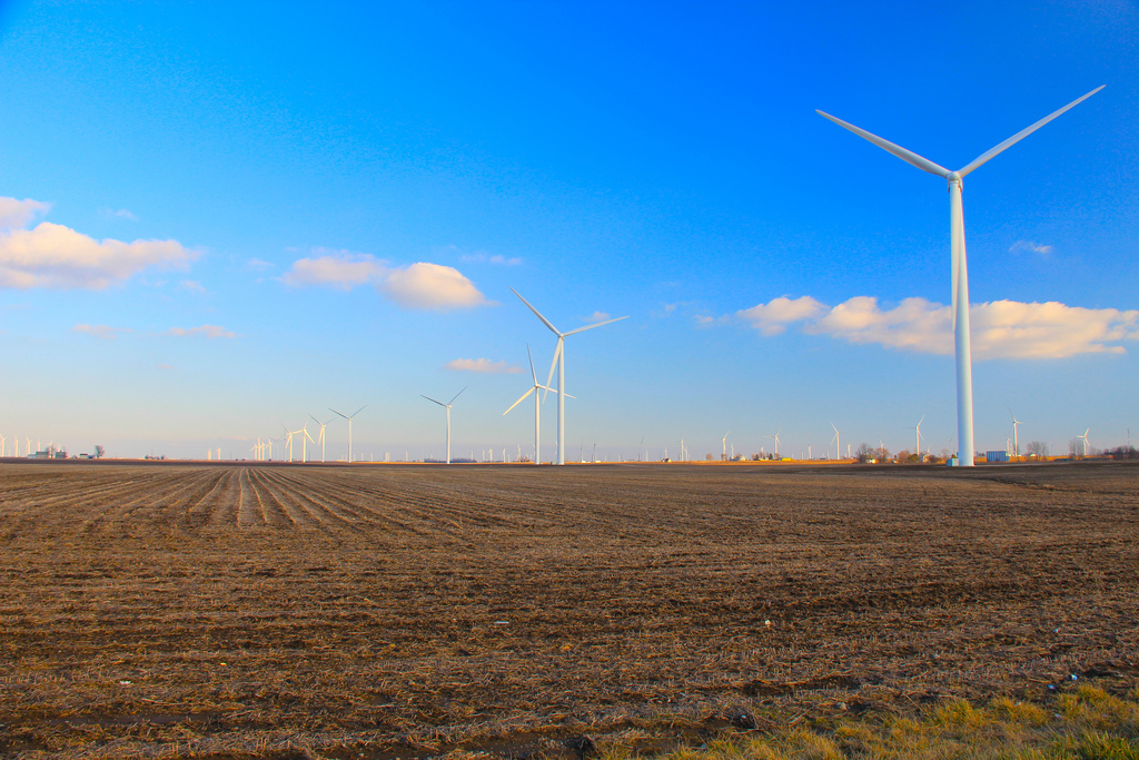 Photograph of a field with wind turbines in the background