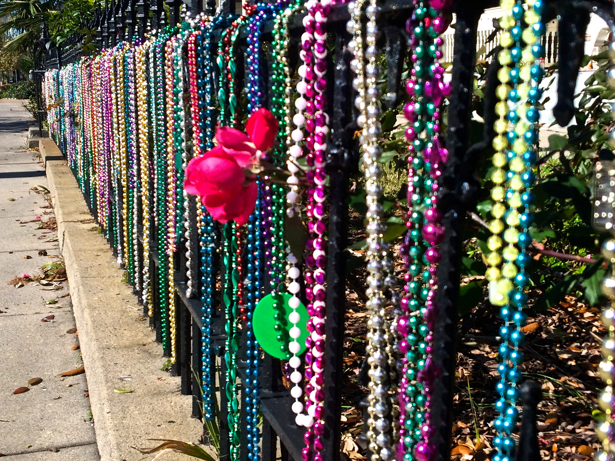 A fence covered in Mardi Gras beads of various colors