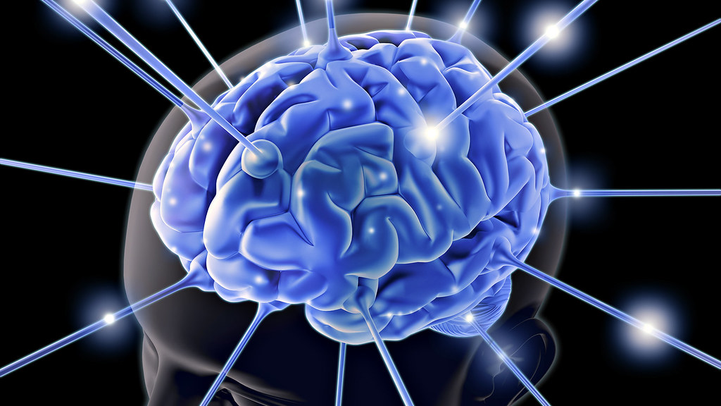 3D image of human brain