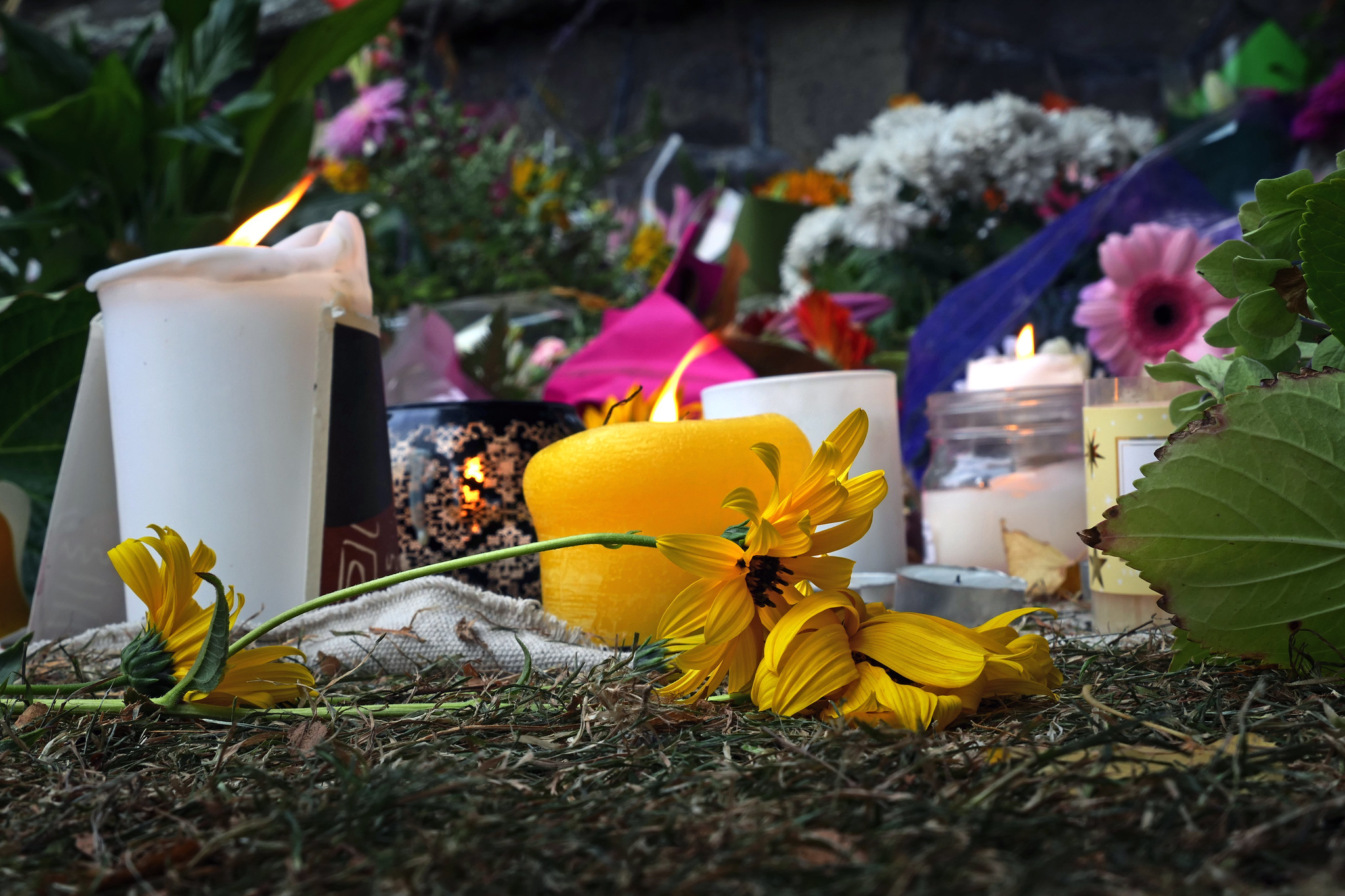 Photograph of candles and flowers arranged to mourn victims of the shootings