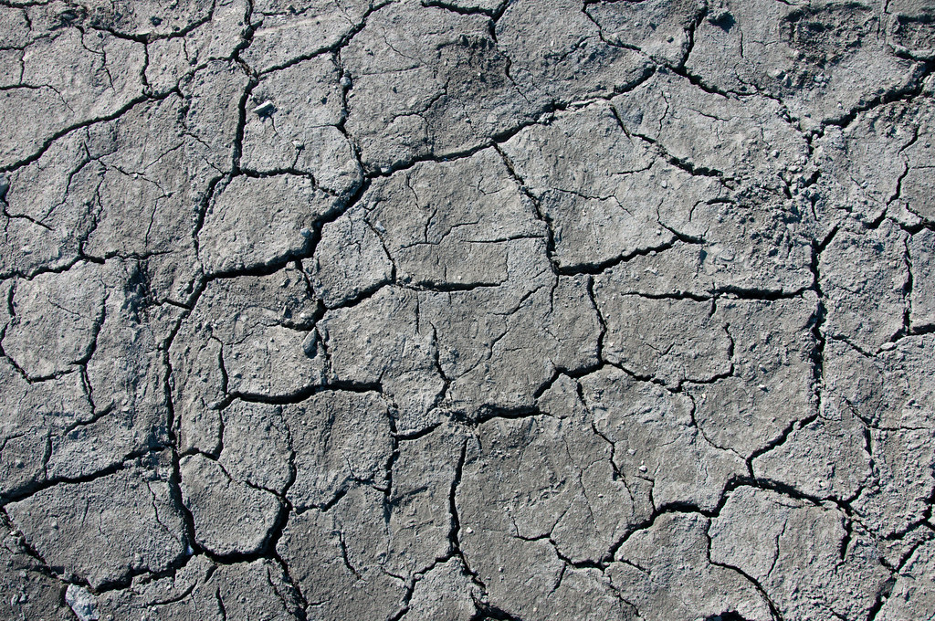 close-up photograph of dried lakebed