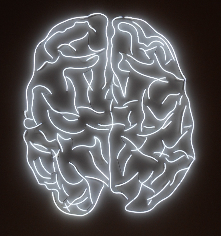 image of brain outline in white light