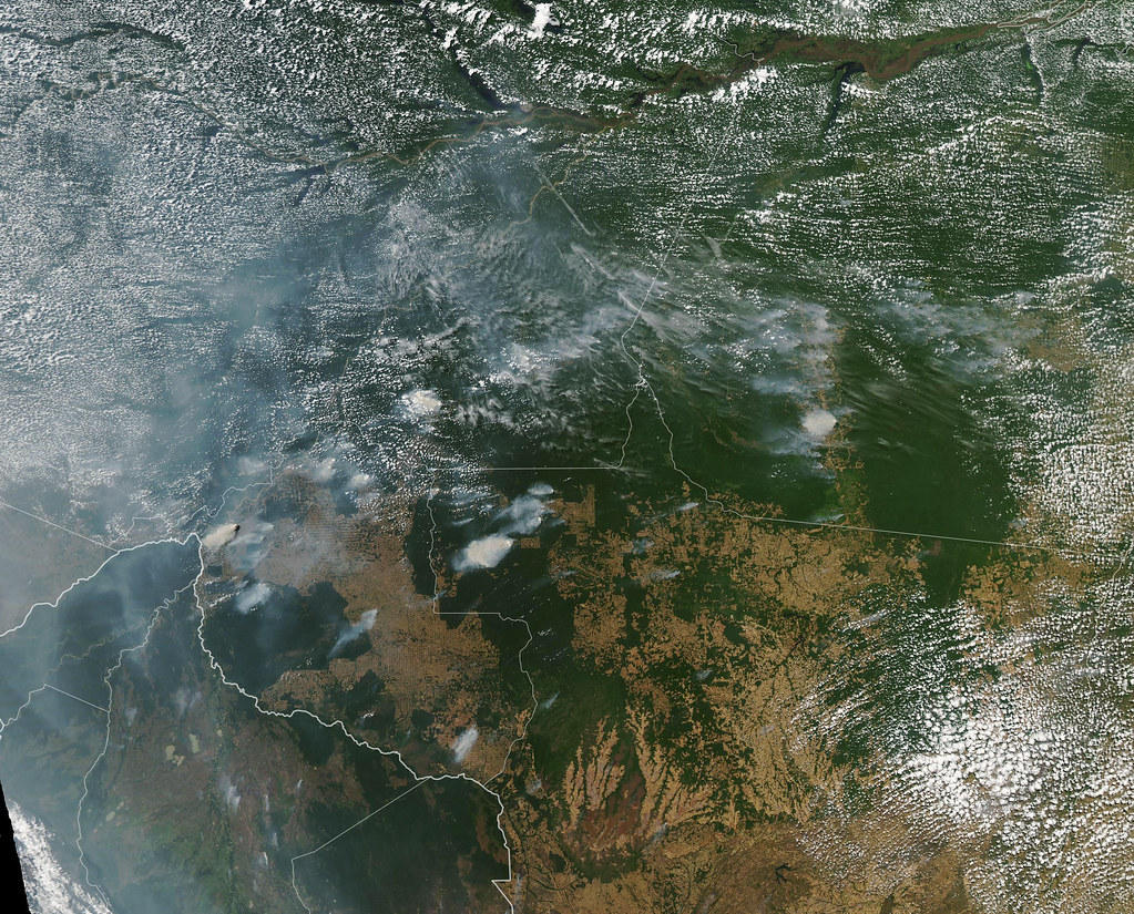 satellite image of amazon fires