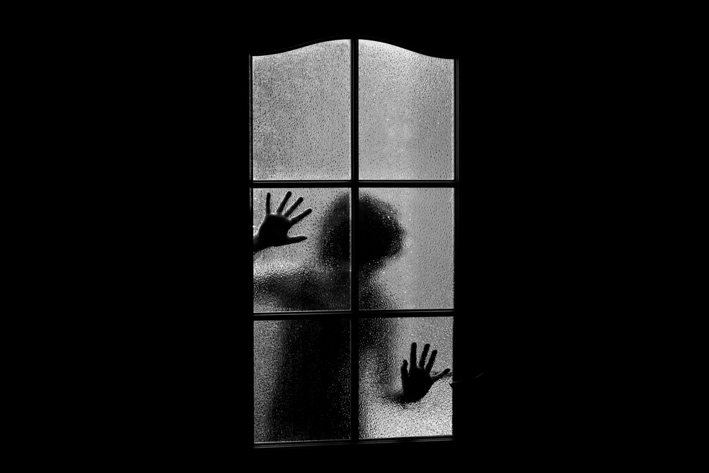 black-and-white photograph of silhouetted figure behind glass