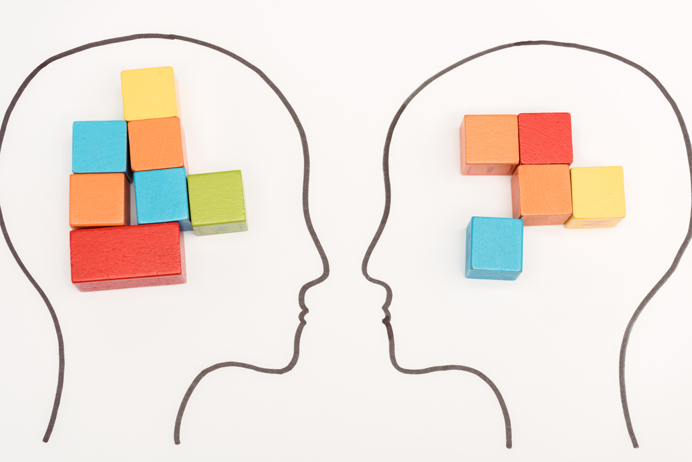 image of two heads with distinct collections of colored cubes