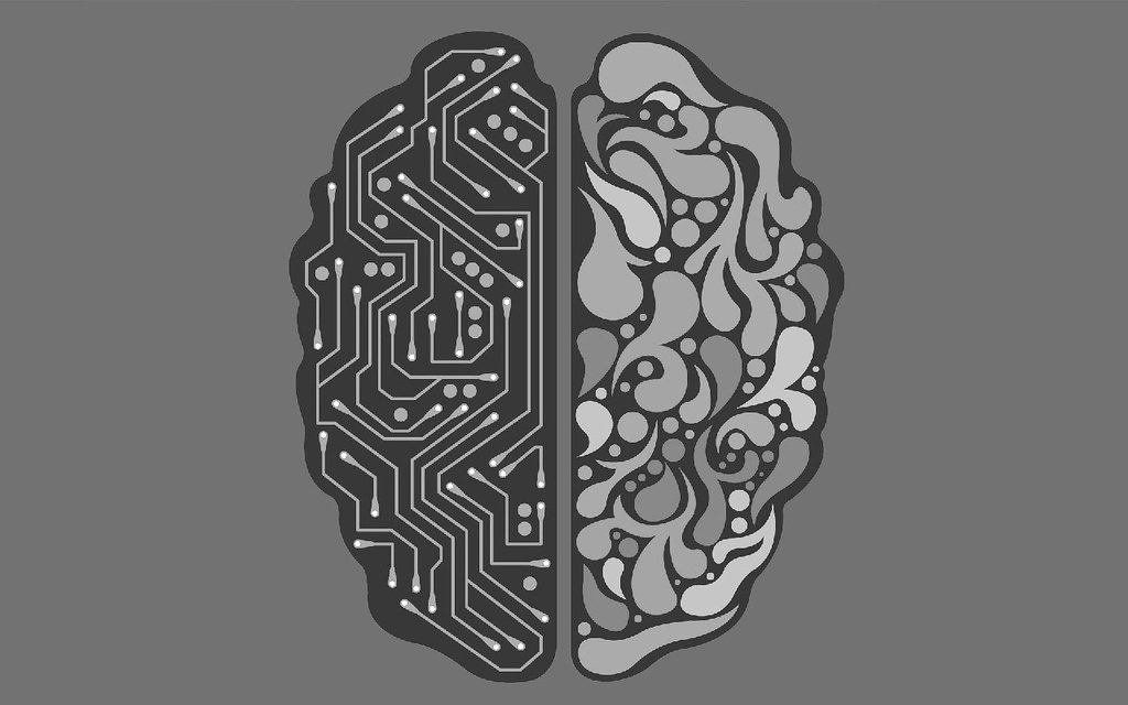 image of divided brain; fluid on one side, curcuitry on the other