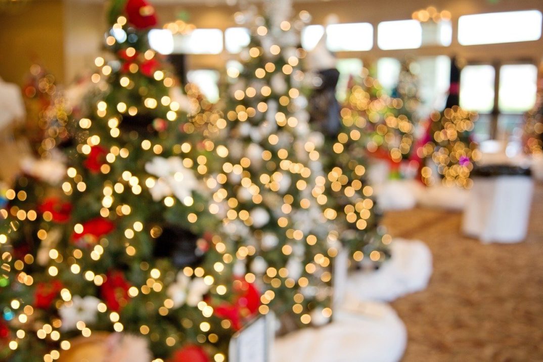 blurry photograph of decorated Christmas trees