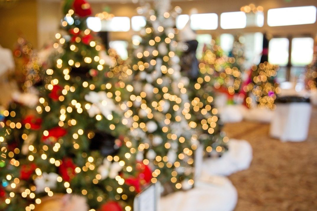 blurry photograph of decorated Christmas trees