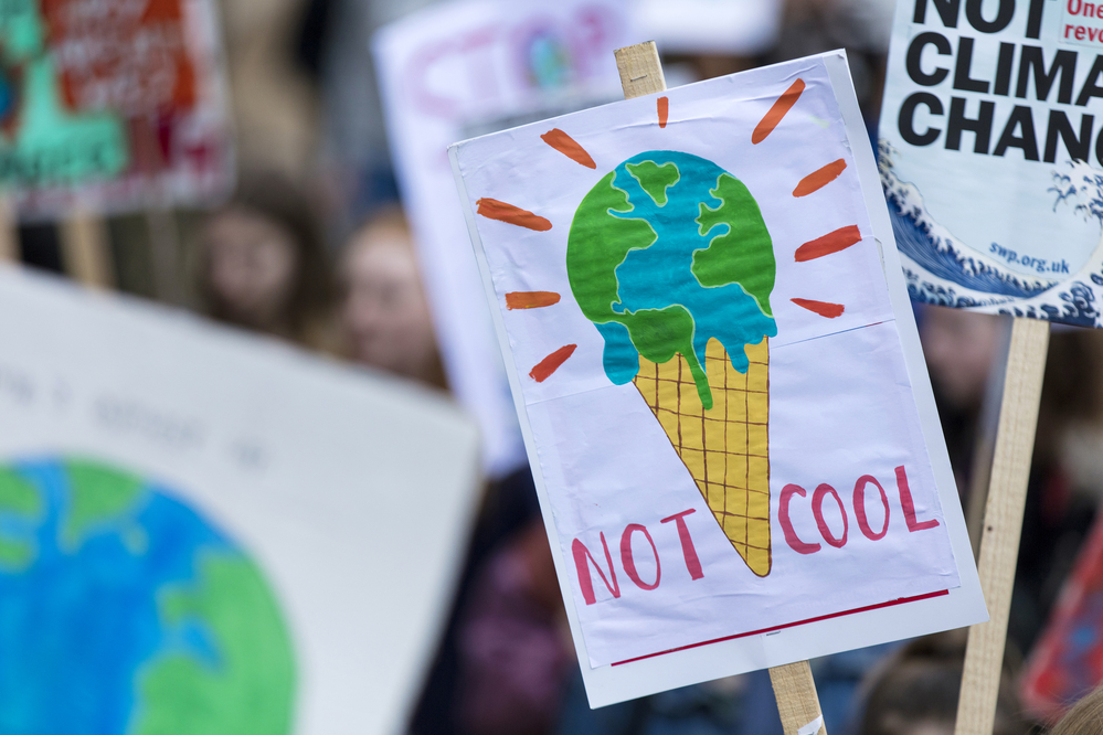 photograph of climate protest signs ("Not Cool")
