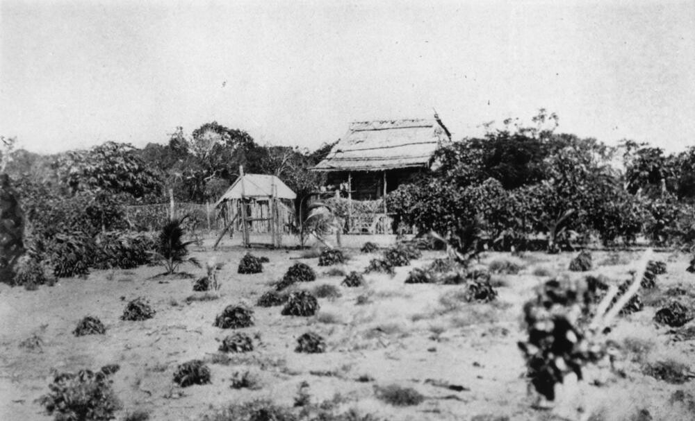black and white photograph of aboriginal dwelling