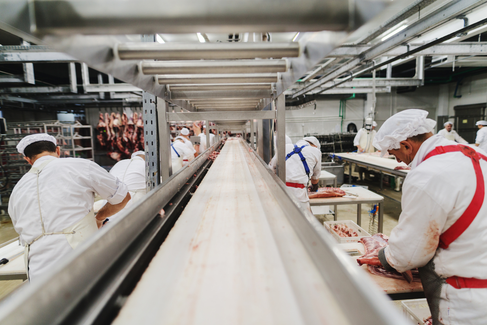 photograph of conveyor line at meat-packing plant