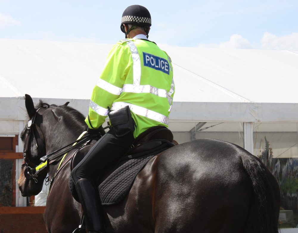 Police officer on horseback. Both horse and person are shown from behind