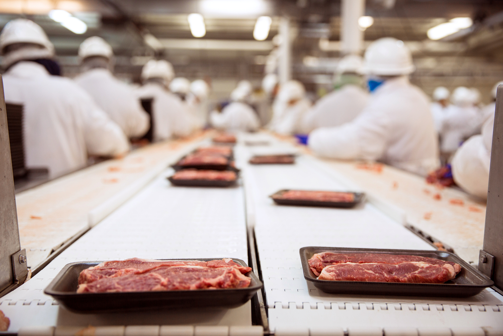 photograph of meat-packing workers crowded around conveyor belt