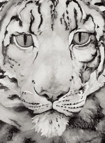 Cover image for The Snow Leopard of a close-up illustration of a white snow leopard's face