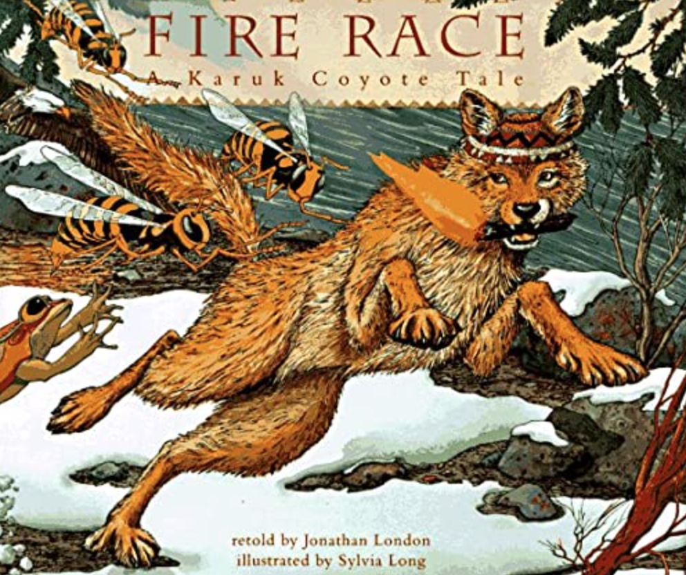 Cover image for Fire Race A Karuk Coyote Tale featuring a highly detailed and naturalistic illustration of a fox with a carrot in its mouth. The fox is leaping away from some giant hornets and a frog that appear to be chasing it. The fox wears a decorative headdress