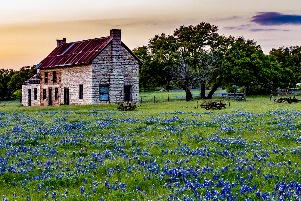 photograph of a Texas homestead at dusk surrounded by wilflowers
