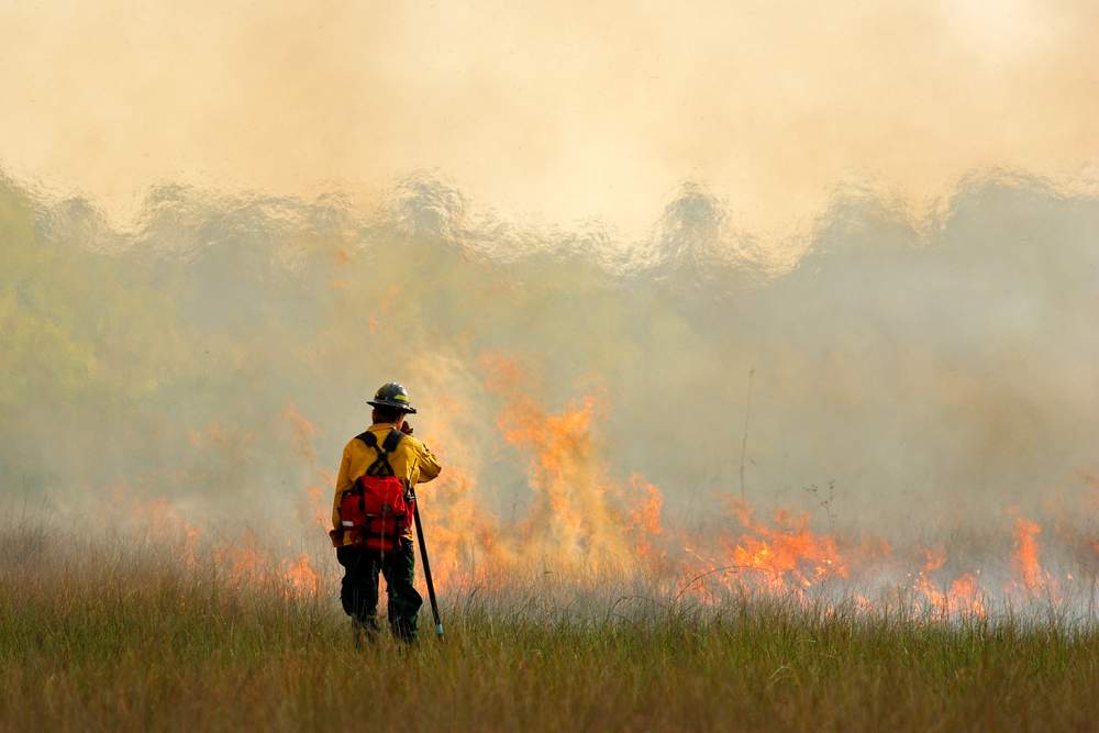photograph of lone firefighter standing before small wildfire blaze