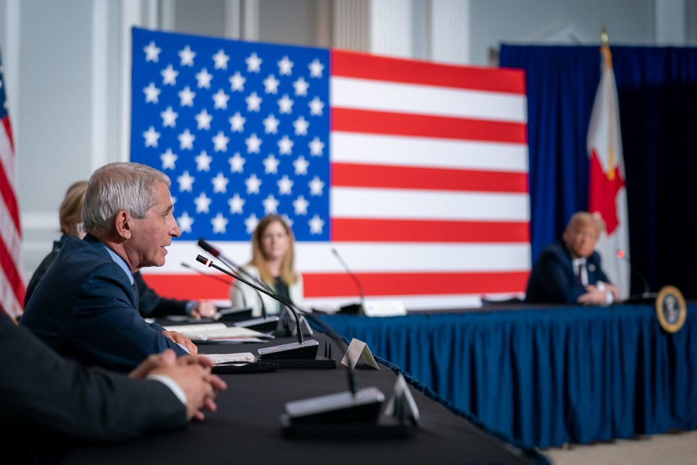 photograph of Dr. Fauci speaking on panel with American flag in background