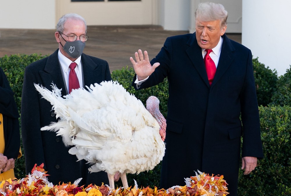 photograph of Trump pardoning Thanksgiving turkey