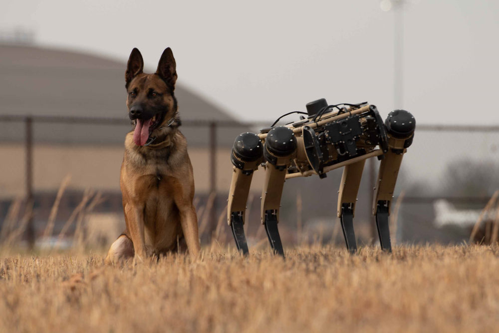 photograph of german shepherd next to surveillance robot dog