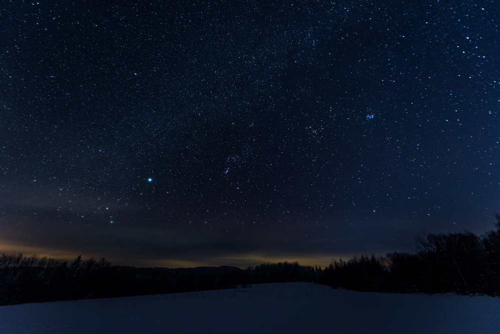 photograph of starry night in the woods