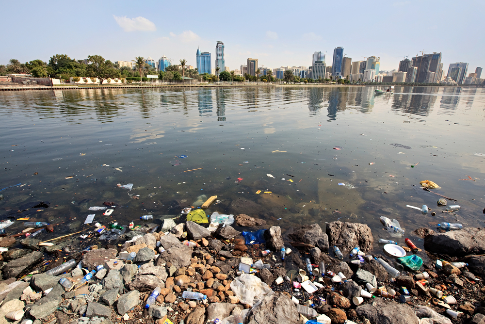 photograph of water pollution with skyscrapers on opposite shoreline