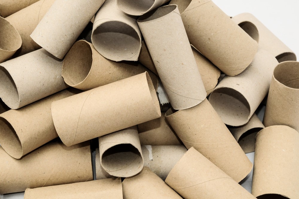 photograph of empty toilet paper rolls stacked