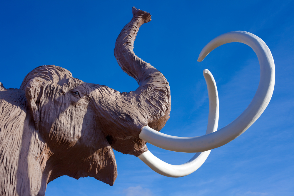 photograph of woolly mammoth sculpture
