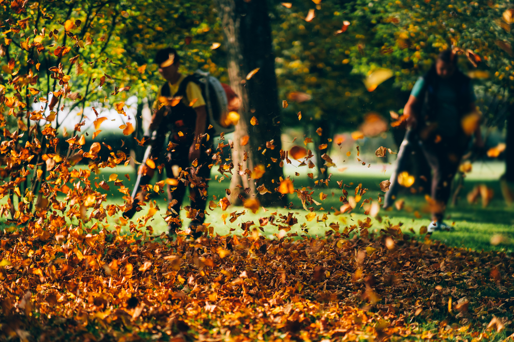 photograph of heavy duty leaf blowers in operation