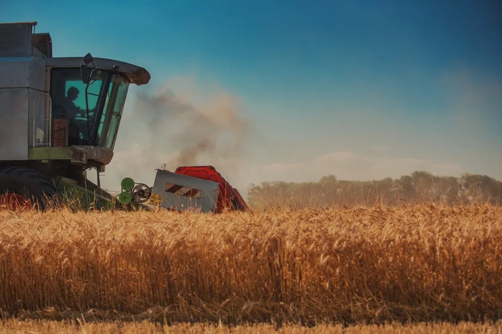 photograph of combine harvester in field