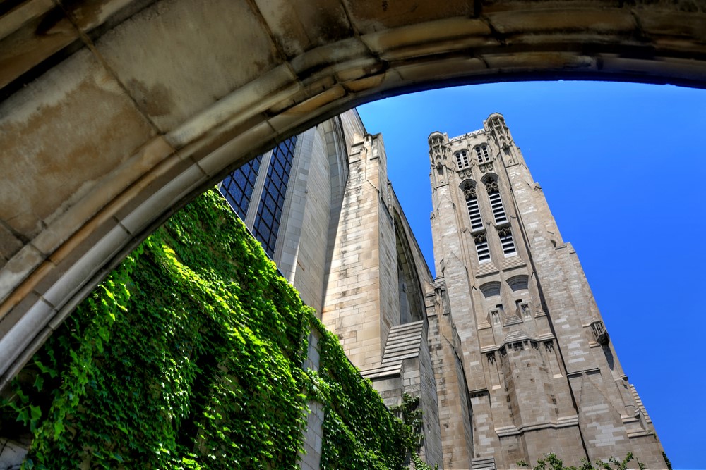 photograph of University of Chicago ivy-covered Gothic buildings