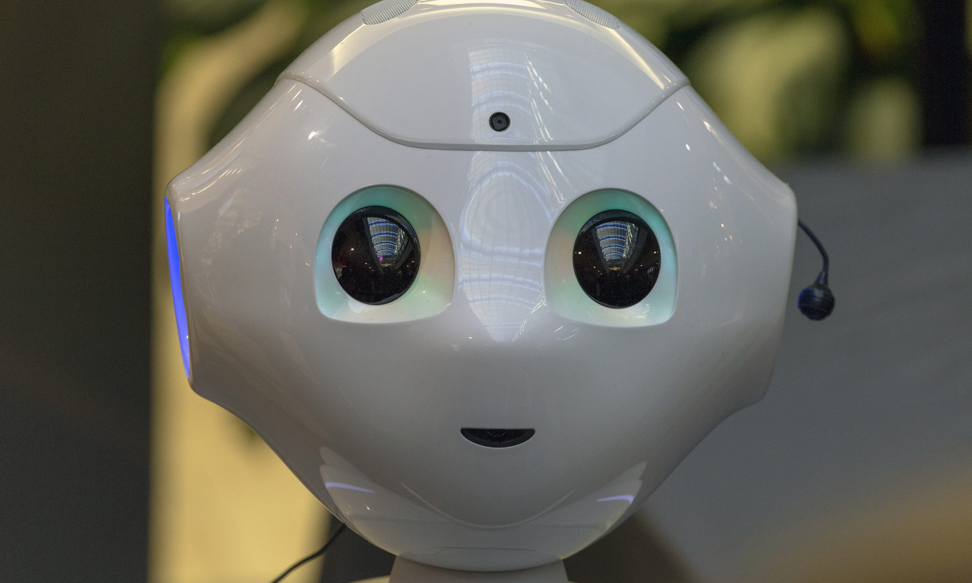 photograph of humanoid robot