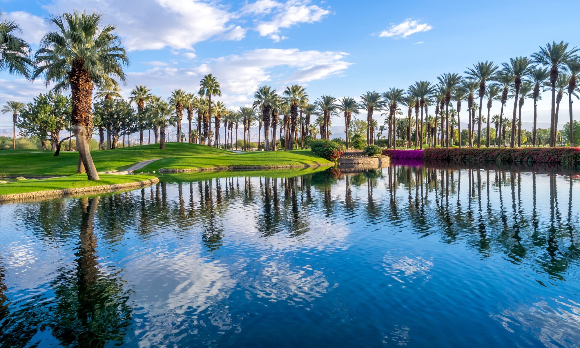 photograph of pristine pond among palm trees at golf course