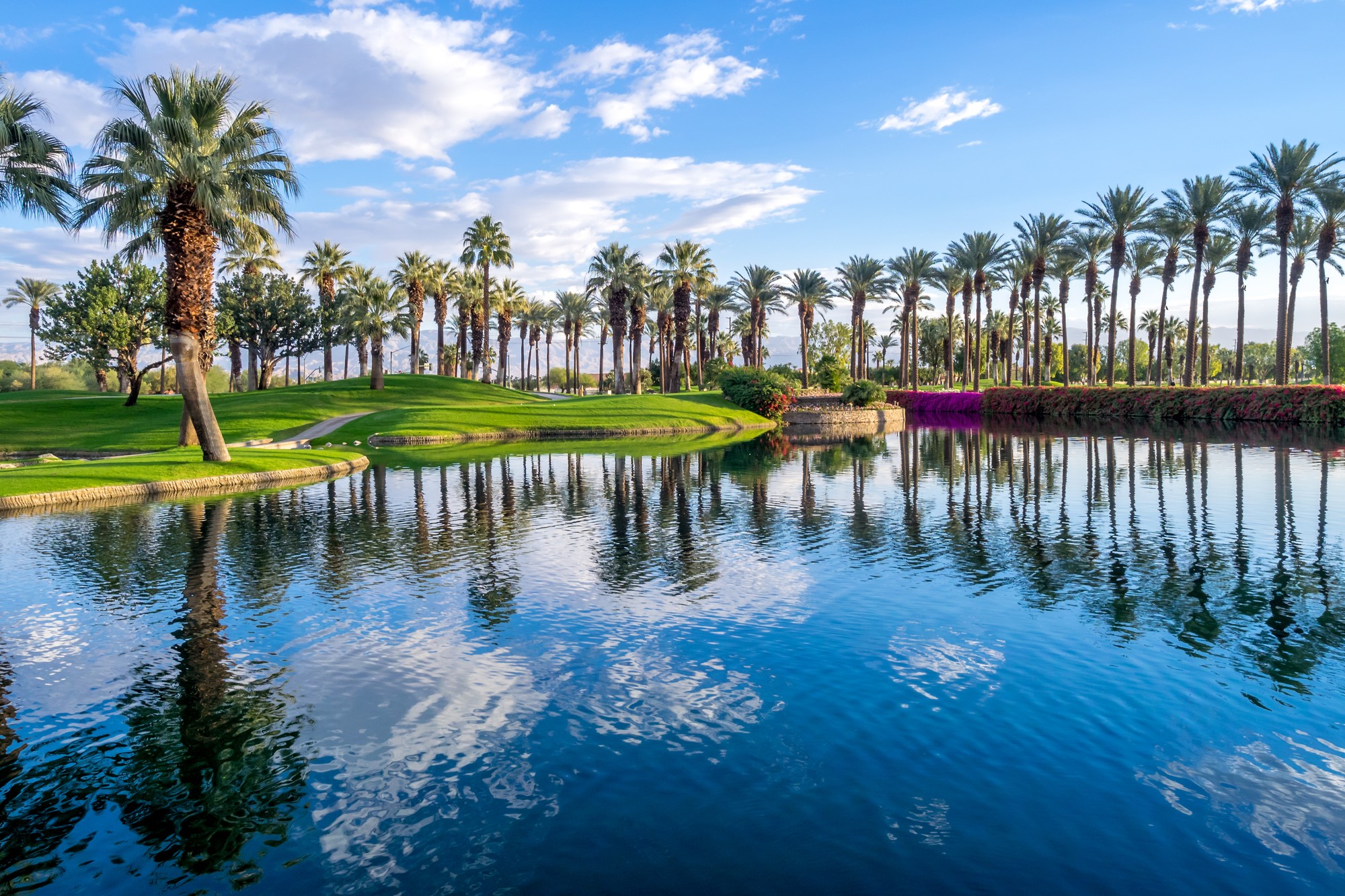 photograph of pristine pond among palm trees at golf course