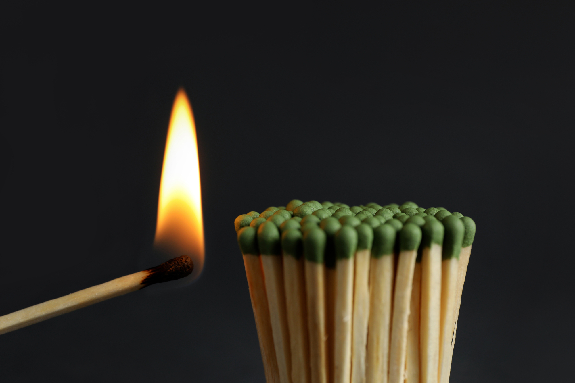 photograph of burning match near a bunch of unlit matches